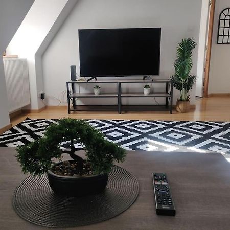 Tres Bel Appart Charmant 85M2 Parking Gratuit Мольсайм Экстерьер фото