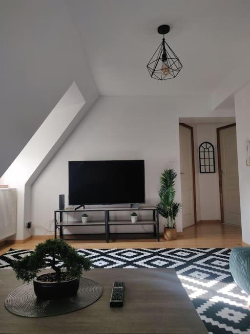 Tres Bel Appart Charmant 85M2 Parking Gratuit Мольсайм Экстерьер фото